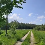 My Silesia Home: Historic With Garage Near Gliwice *