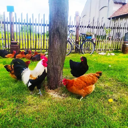 Gornyslask Blisko Jeziora - 120qm - 3 Sypialnie Z Parkingiem I Klimatyzacja - Flat Uppersilesia With Parking & Air Conditioning - Oberschlesien Mit 3 Schlafzimmern Inklusive Parkplatz Und Klima - Naehe Badesee Und Sandstrand Διαμέρισμα