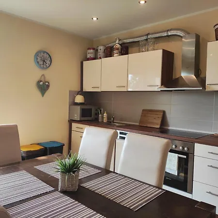 Gornyslask Blisko Jeziora - 120qm - 3 Sypialnie Z Parkingiem I Klimatyzacja - Flat Uppersilesia With Parking & Air Conditioning - Oberschlesien Mit 3 Schlafzimmern Inklusive Parkplatz Und Klima - Naehe Badesee Und Sandstrand