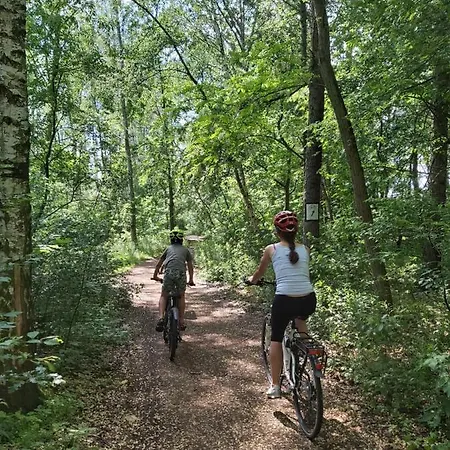 Gornyslask Blisko Jeziora - 120qm - 3 Sypialnie Z Parkingiem I Klimatyzacja - Flat Uppersilesia With Parking & Air Conditioning - Oberschlesien Mit 3 Schlafzimmern Inklusive Parkplatz Und Klima - Naehe Badesee Und Sandstrand *