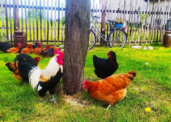 Gornyslask Blisko Jeziora - 120qm - 3 Sypialnie Z Parkingiem I Klimatyzacja - Flat Uppersilesia With Parking & Air Conditioning - Oberschlesien Mit 3 Schlafzimmern Inklusive Parkplatz Und Klima - Naehe Badesee Und Sandstrand Apartmán