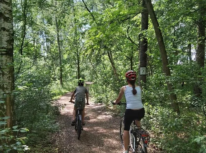 Gornyslask Blisko Jeziora - 120qm - 3 Sypialnie Z Parkingiem I Klimatyzacja - Flat Uppersilesia With Parking & Air Conditioning - Oberschlesien Mit 3 Schlafzimmern Inklusive Parkplatz Und Klima - Naehe Badesee Und Sandstrand *