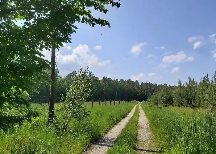 Gornyslask Blisko Jeziora - 120qm - 3 Sypialnie Z Parkingiem I Klimatyzacja - Flat Uppersilesia With Parking & Air Conditioning - Oberschlesien Mit 3 Schlafzimmern Inklusive Parkplatz Und Klima - Naehe Badesee Und Sandstrand *