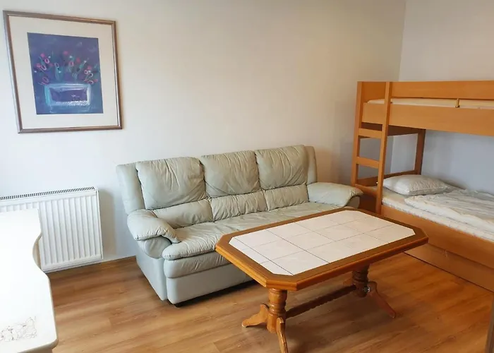 Gornyslask Blisko Jeziora - 120qm - 3 Sypialnie Z Parkingiem I Klimatyzacja - Flat Uppersilesia With Parking & Air Conditioning - Oberschlesien Mit 3 Schlafzimmern Inklusive Parkplatz Und Klima - Naehe Badesee Und Sandstrand * Niewiesze